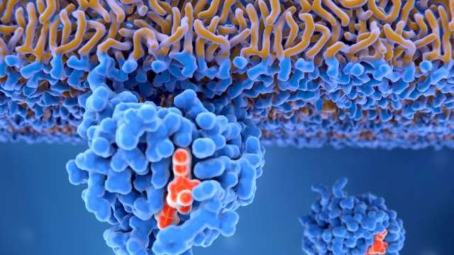 激活附着在癌细胞上的RAS蛋白